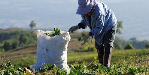 Australia’s new agricultural work visa could supercharge the forces of exploitation