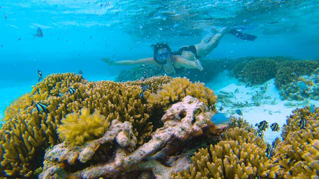 woman snorkels above coral