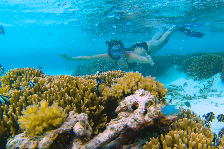 woman snorkels above coral