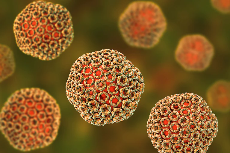 3D illustration of the Rift Valley Fever Virus