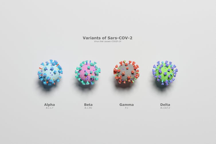 3D representations of Alpha, Beta, Gamma and Delta coronaviruses on a white background