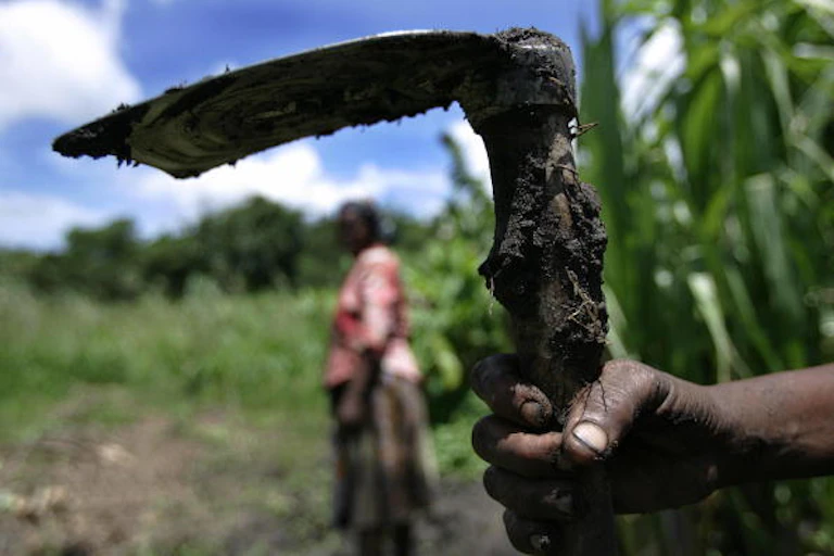 farmer holding a hoe