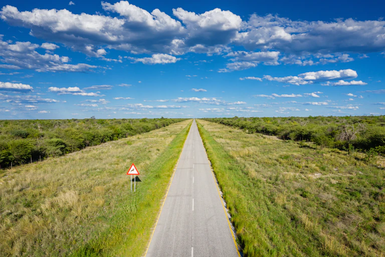 Road with greenery on the side and a sign warning of a Sprongbok.