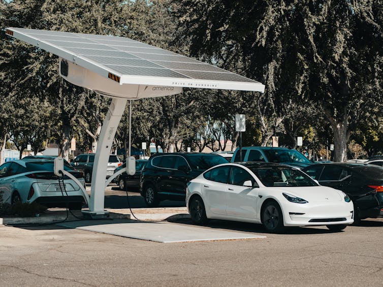 Cars charge up at an EV charging station with a solar panel above them and large cedar trees in the background.