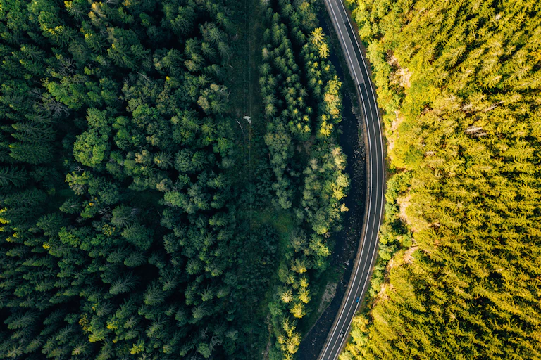 A highway seen from above winding through a thick forest.