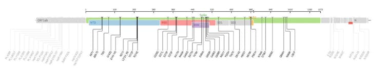 Mutaciones detectadas en el genoma de la variante omicron comparado con el virus originario de Wuhan.