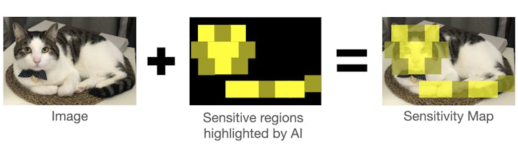 Map showing the AI's sensitivity to the characteristics of a cat.