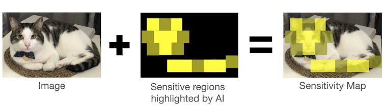 AI can reliably spot molecules on exoplanets – and might one day even discover new laws of physics 2 Map showing the AI's sensitivity to the characteristics of a cat.