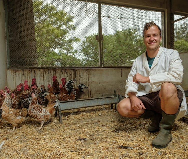 A man in a white lab coat, shorts and boots, poses alongside a small flock of chickens.