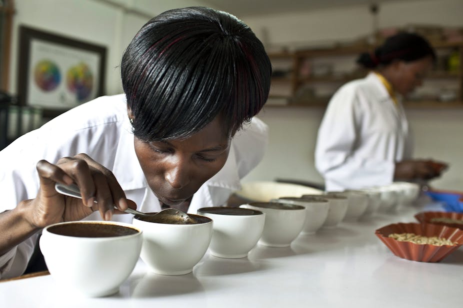 A woman tastes samples of coffee