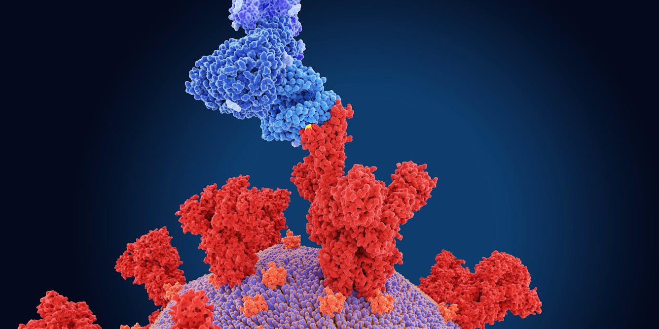 SARS-CoV-2 omicron variant may evade host immune responses