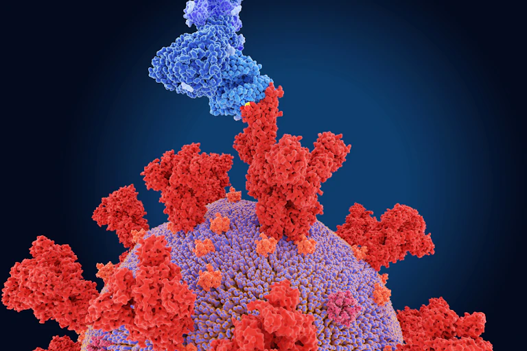 Illustration of knob-like spike protein (shown in red) from the omicron variant of the SARS-CoV-2 coronavirus.