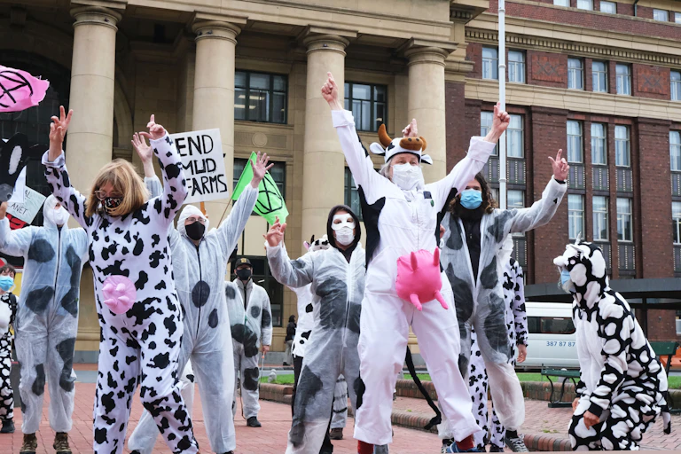 Members of Extinction Rebellion, dressed up as cows, protesting outside New Zealand's parliament.