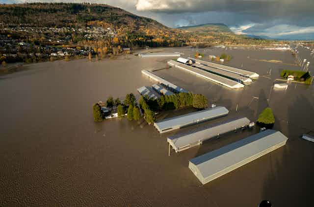 Aerial view of a series of long barns partially submerged by brown floodwater