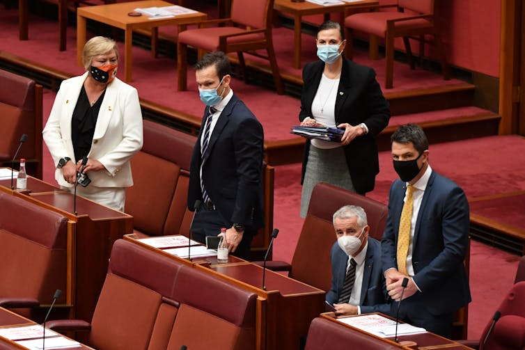 Coalition senators backing a One Nation bill in the Senate.