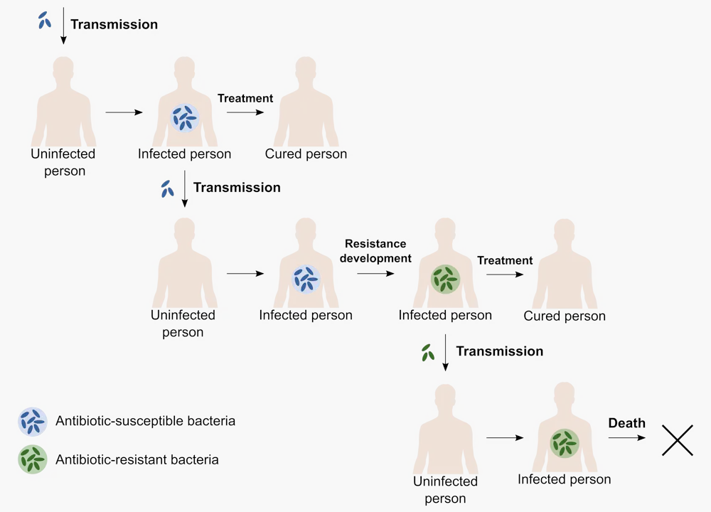 Charting Changes in a Pathogen’s Genome Yields Clues About Its Past and ...