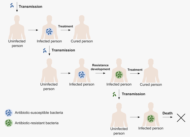 Diagram of epidemiological processes in the transmission of TB