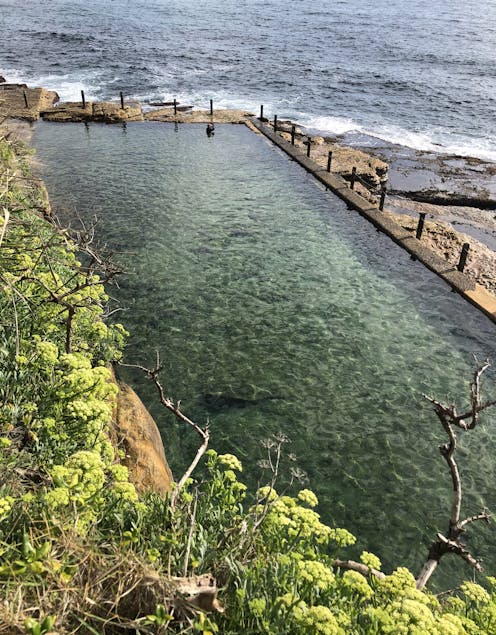 morning thalassa – the calm, salt therapy of Sydney's women's pool