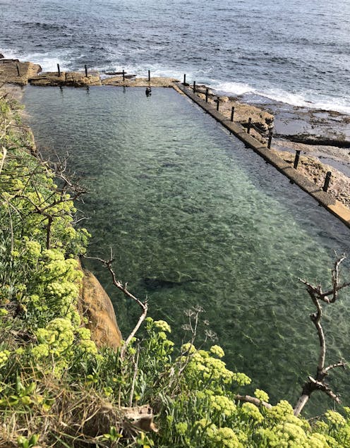 Friday essay: morning thalassa – the calm, salt therapy of Sydney's women's pool