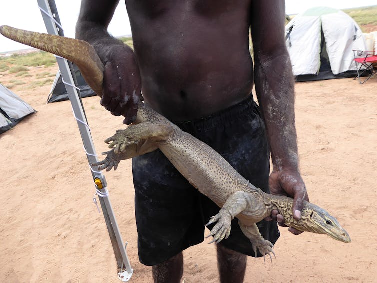 Man holds lizard