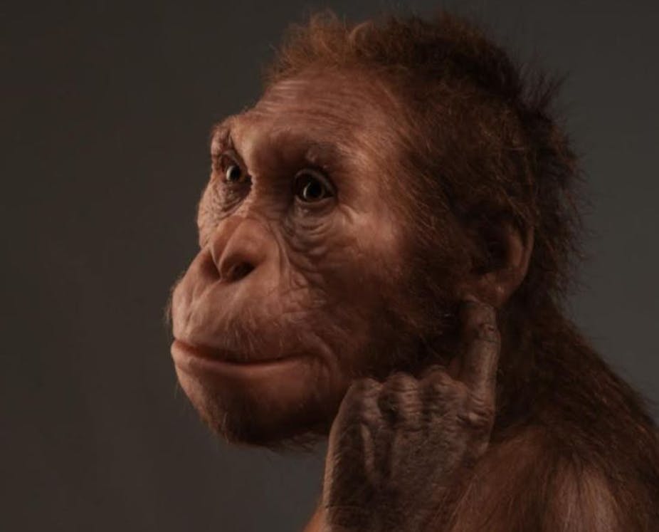 An ape-like creature is seen in profile, raising one finger to the side of its cheek