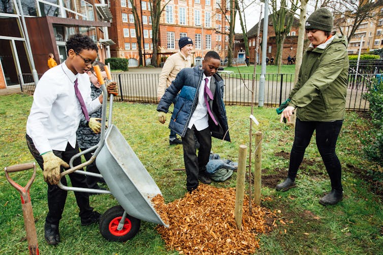 Group of schoolchildren putting wood chippings around a tree sapling