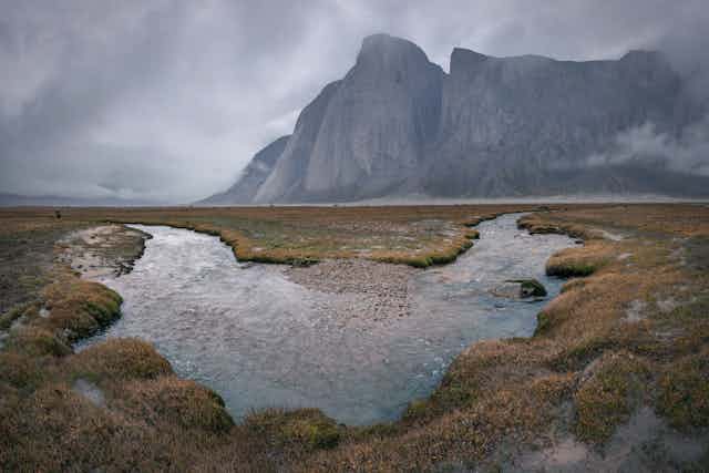 Rainy tundra with large cliff in background