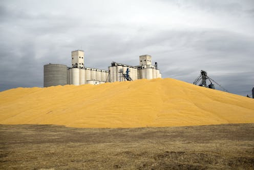 The US biofuel mandate helps farmers, but does little for energy security and harms the environment