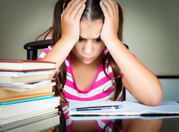 what is the homework today