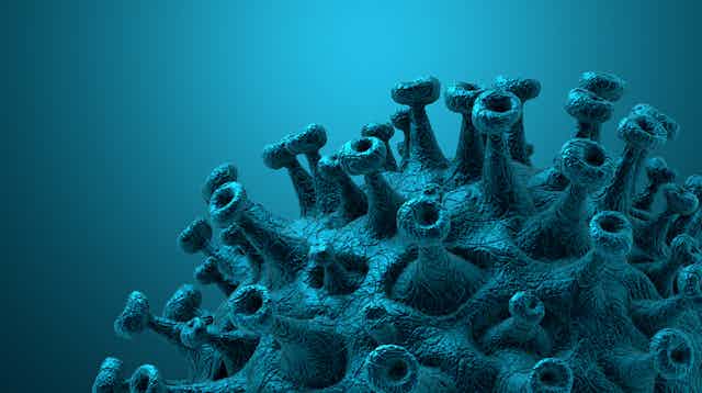 Coronavirus spike protein close-up