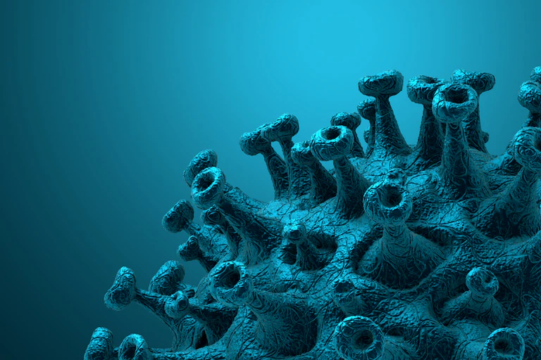 Coronavirus spike protein close-up