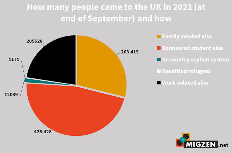 A pie chart showing that asylum applications make up a tiny proportion of arrivals to the UK, with most coming via visas.