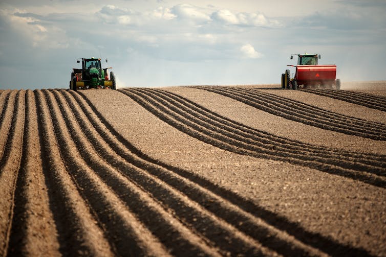 Tractors on farm crop