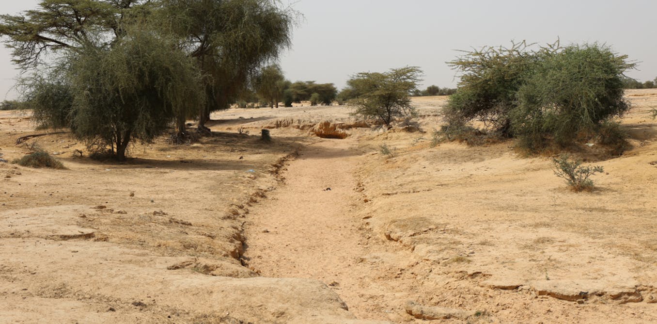 Russia's Rising Influence in the Sahel Africa - YouTube