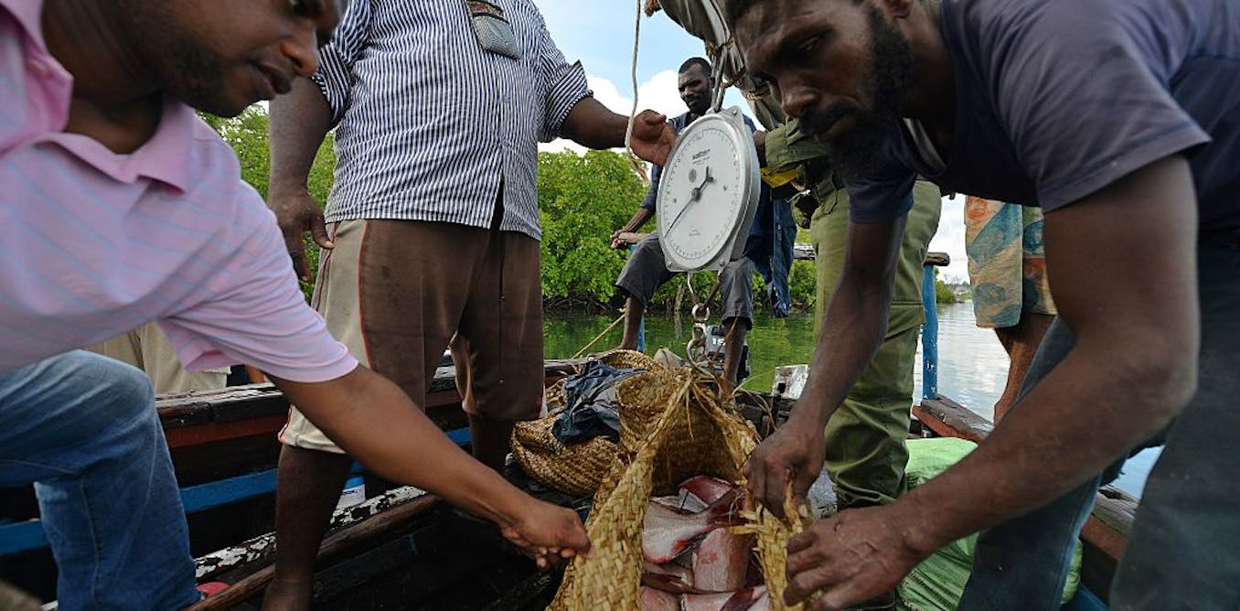 How COVID affected markets and livelihoods in Kenya's fisheries sector