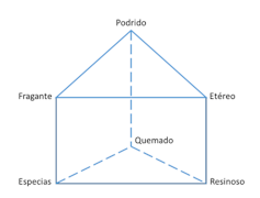 ¿Se puede entrenar el olfato para catar vino?