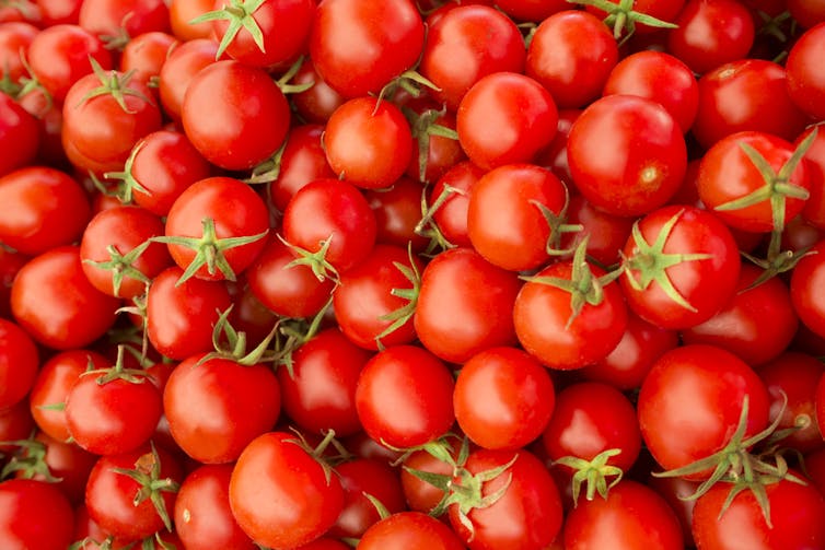 Tomatoes