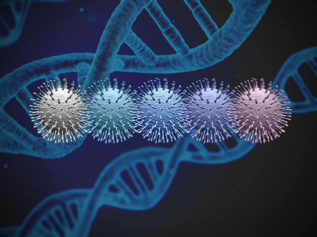 Illustration showing a row or coronaviruses of different colours against a background of DNA double helixes