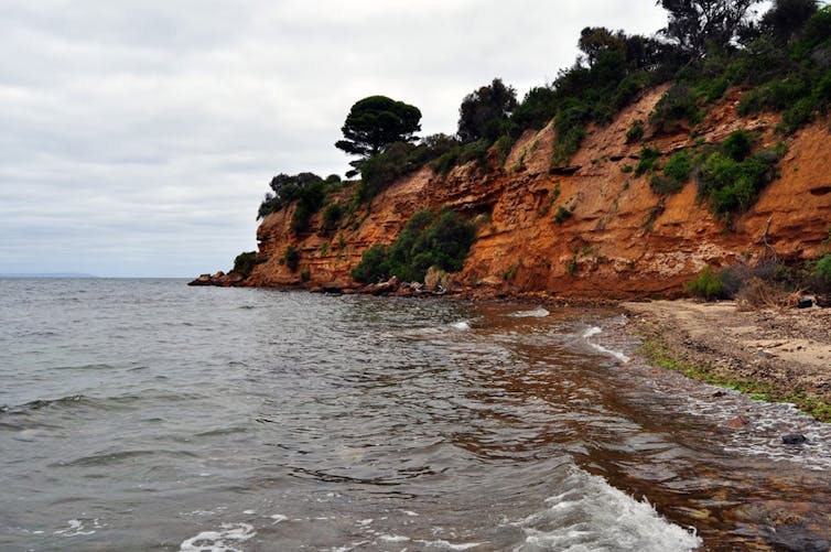 Beaumaris at low tide, showing the red cliffs and rocky beach