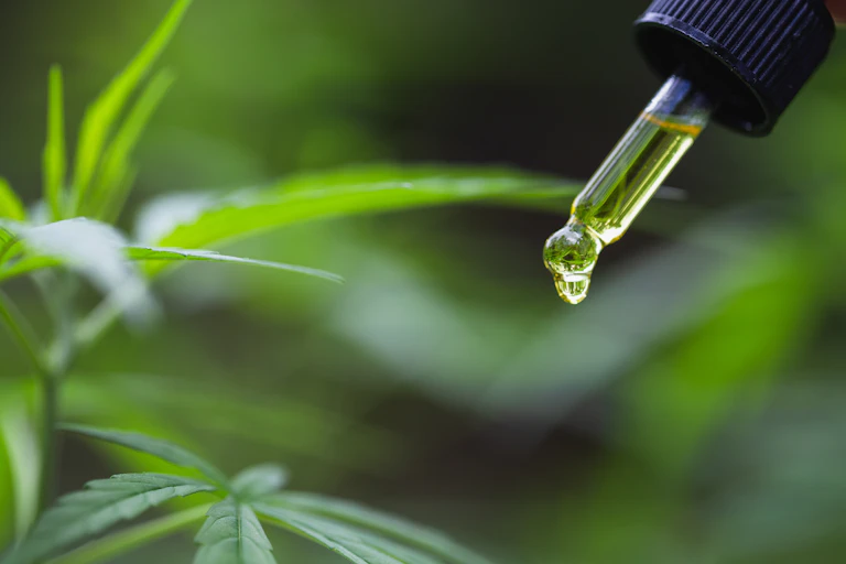 Oil dropper and plant