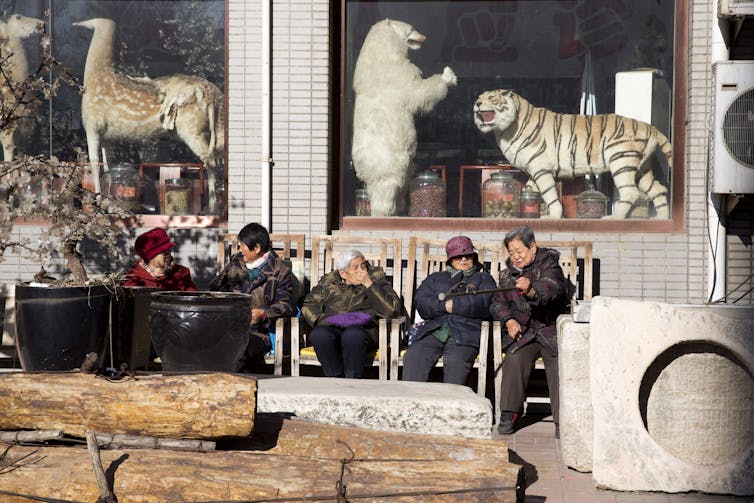 older women sit in front of a window display of a traditional Chinese medicine shop
