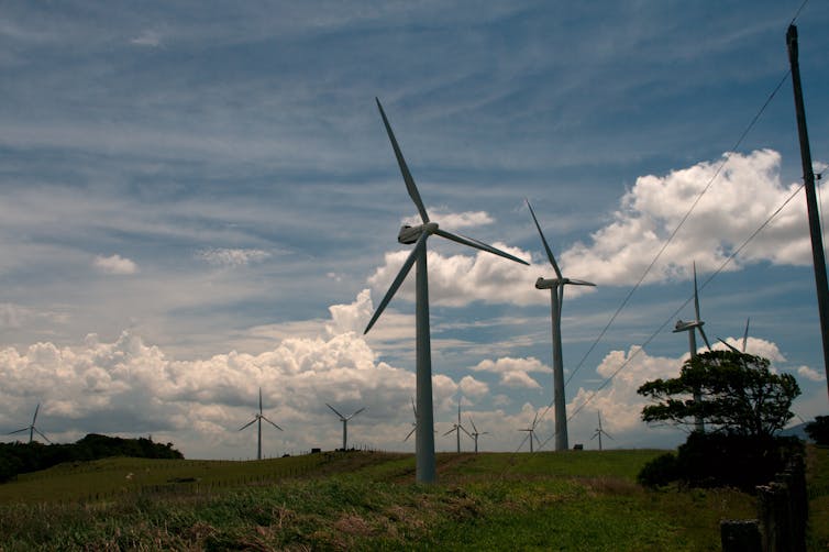 Wind turbines in a field