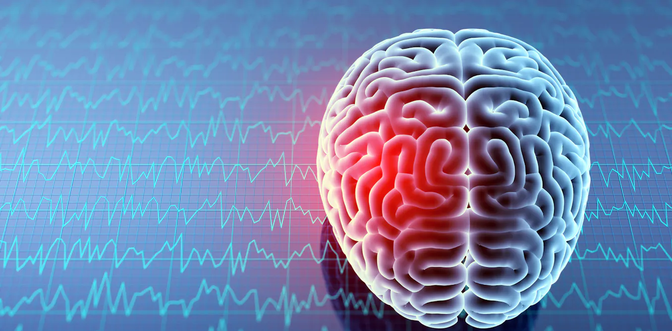 Blocking an immune system molecule in mice may help prevent long-term ...