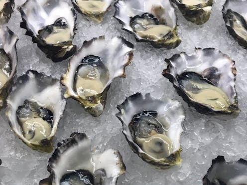 Buy Australian oysters and farmed barramundi: 5 tips to make your feast of summer seafood sustainable