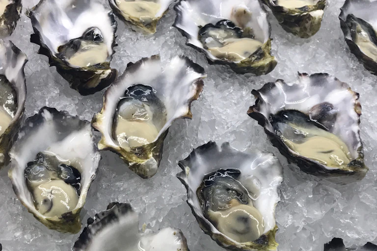 Australian oysters on ice