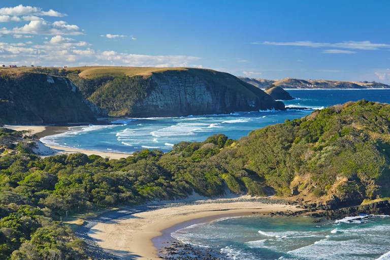 A coastline lined with lush green trees rocks.