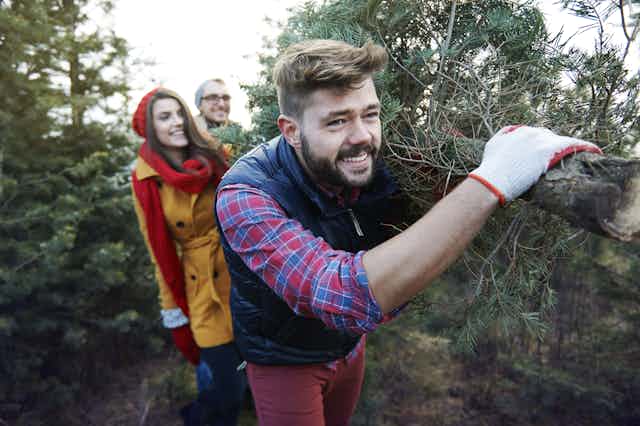 man carries christmas tree
