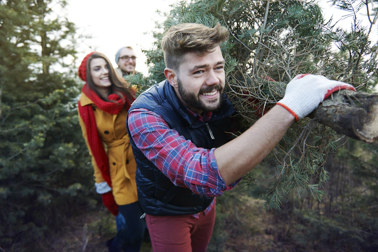 man carries christmas tree