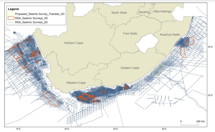Lines on the map showing where seismic surveys have been done.