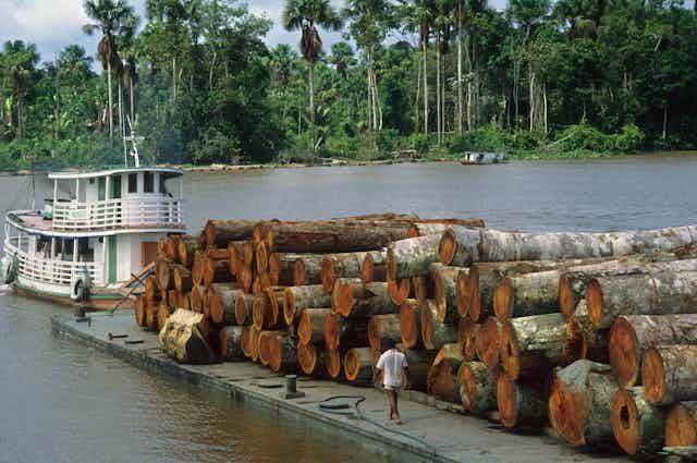 A jetty loaded with logs with tropical forest in the background.